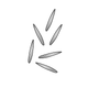 Mutterkraut